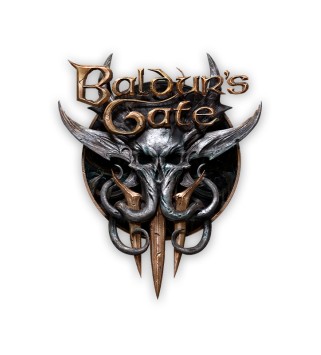 Baldur's Gate 3 GOG.com Key GLOBAL